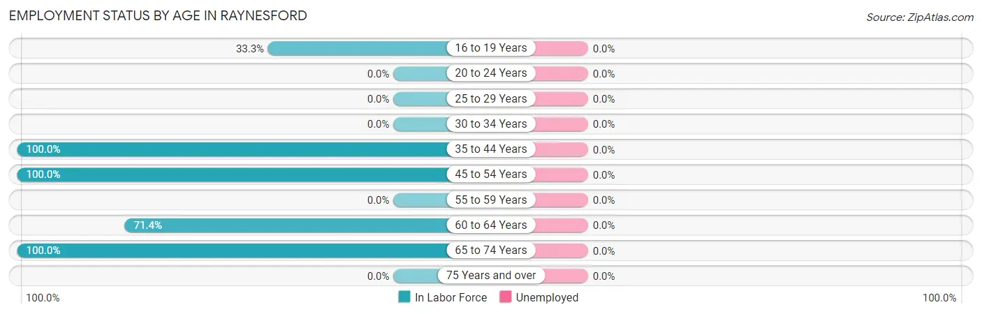 Employment Status by Age in Raynesford