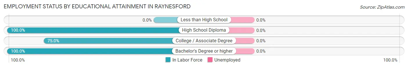 Employment Status by Educational Attainment in Raynesford