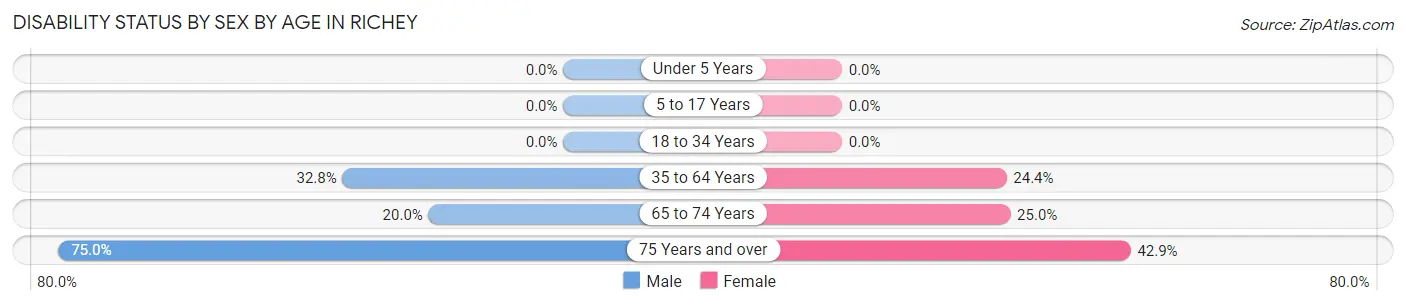 Disability Status by Sex by Age in Richey