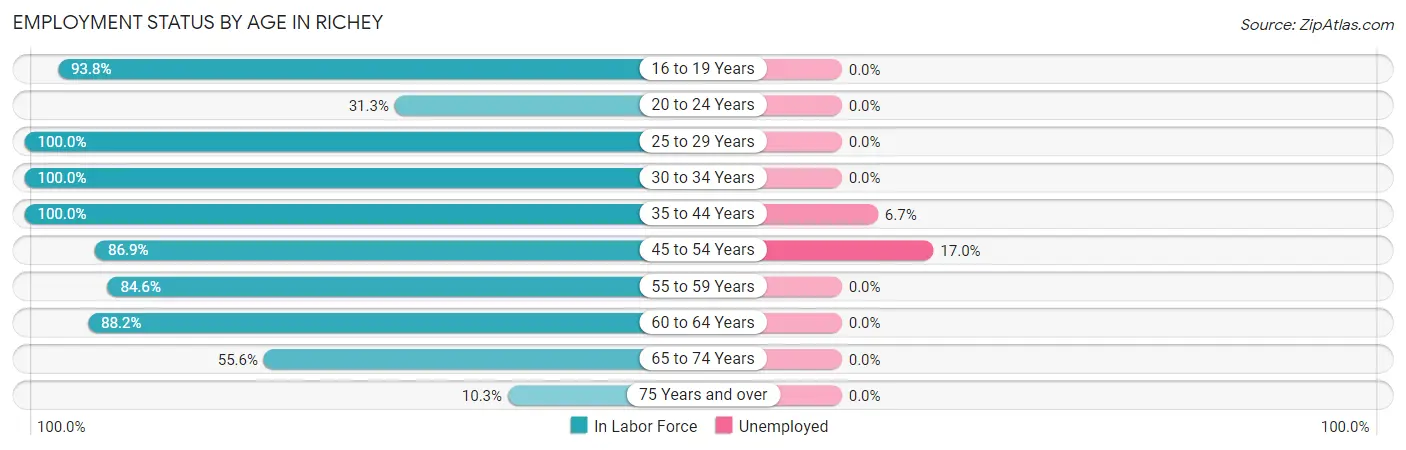 Employment Status by Age in Richey