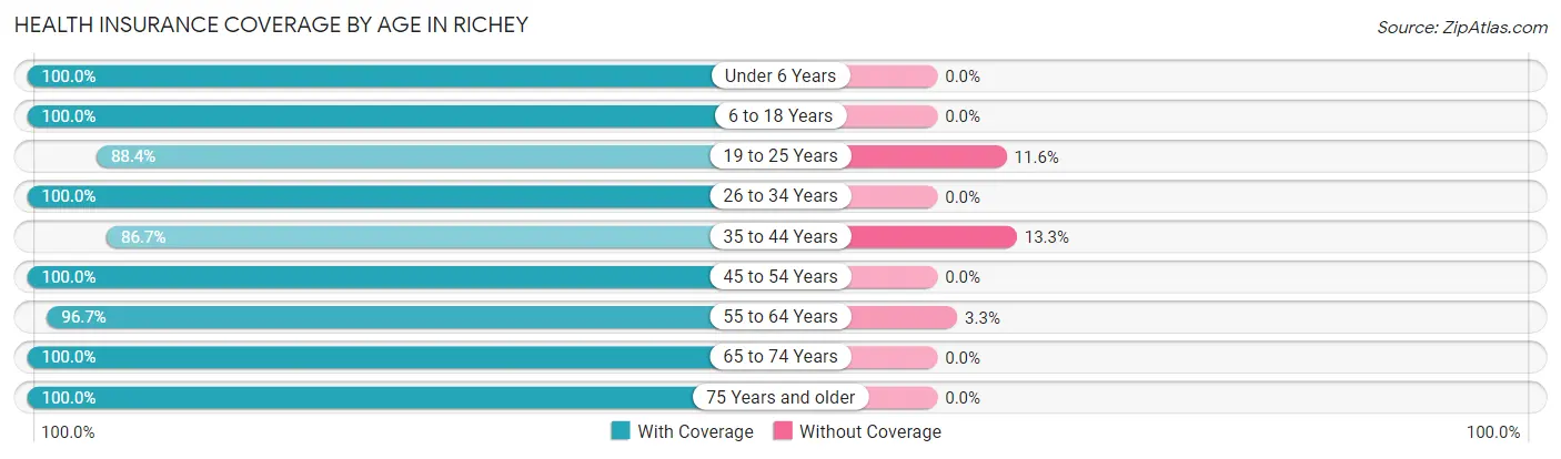 Health Insurance Coverage by Age in Richey