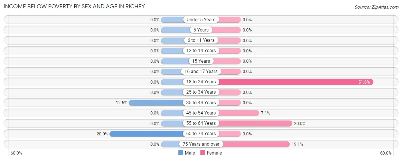 Income Below Poverty by Sex and Age in Richey