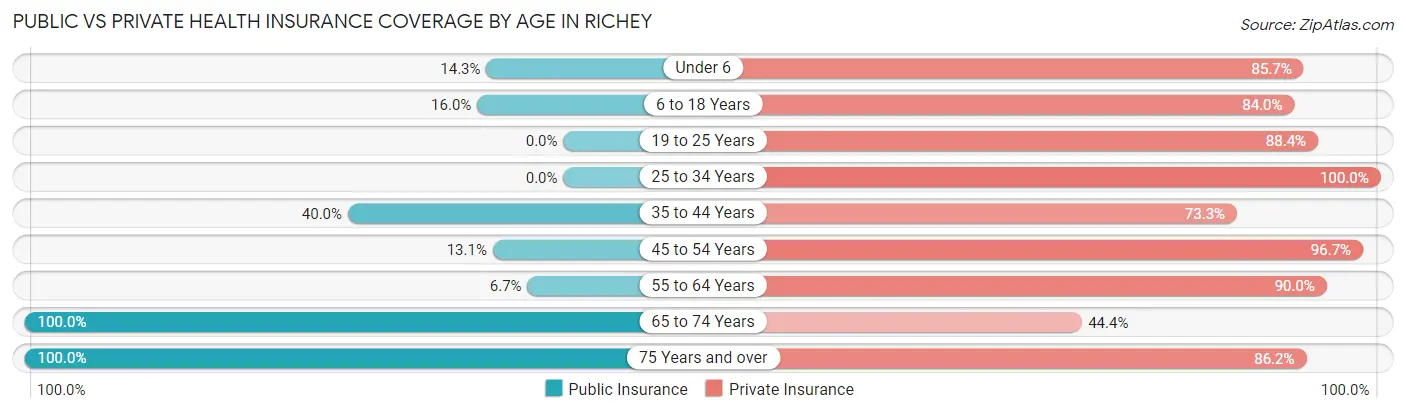 Public vs Private Health Insurance Coverage by Age in Richey