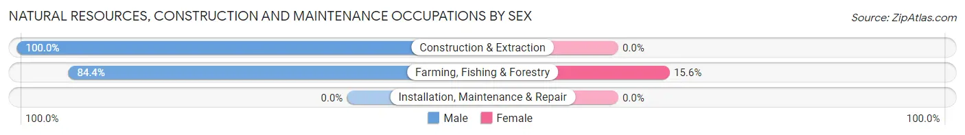 Natural Resources, Construction and Maintenance Occupations by Sex in Riverview Colony