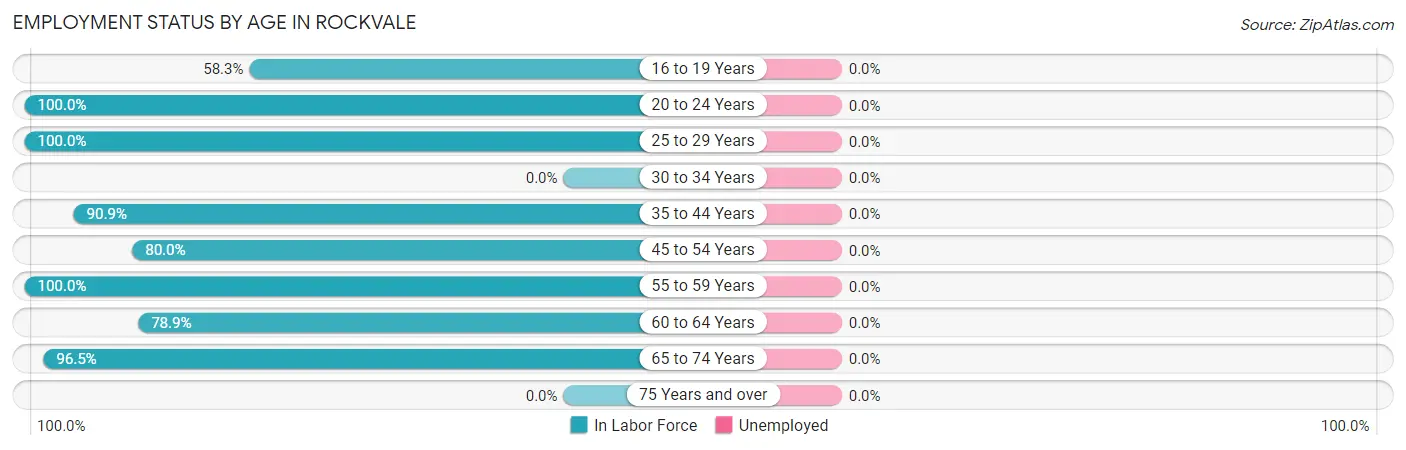 Employment Status by Age in Rockvale
