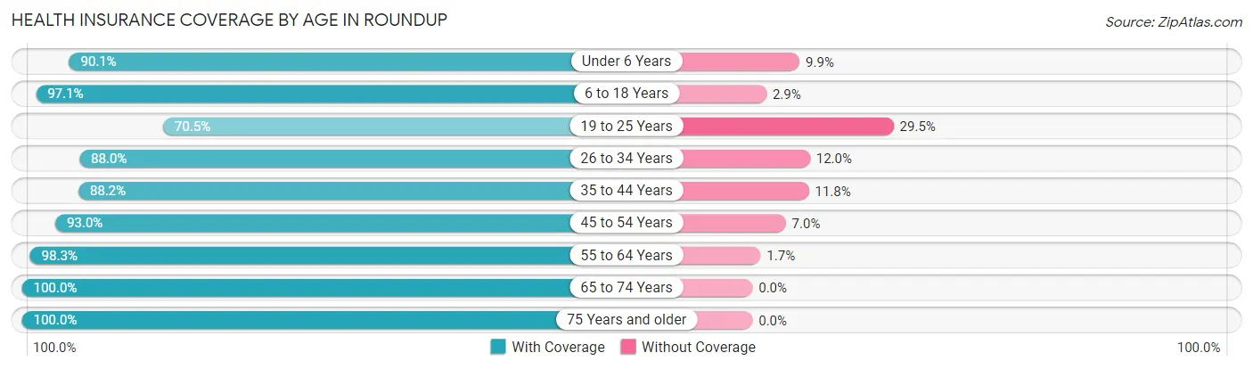 Health Insurance Coverage by Age in Roundup