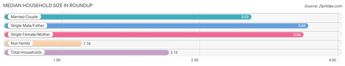 Median Household Size in Roundup