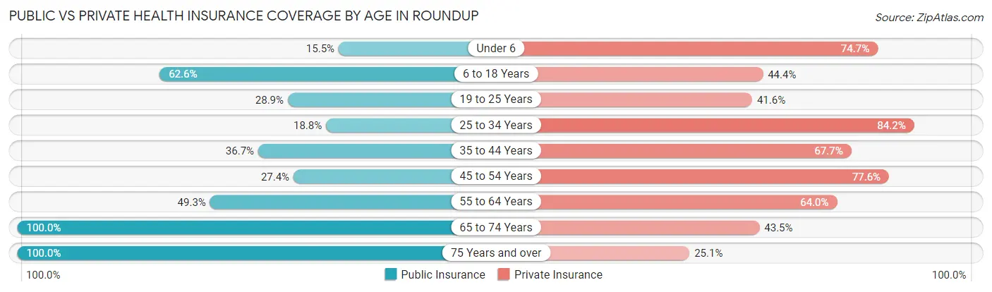 Public vs Private Health Insurance Coverage by Age in Roundup