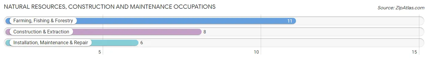 Natural Resources, Construction and Maintenance Occupations in Rudyard