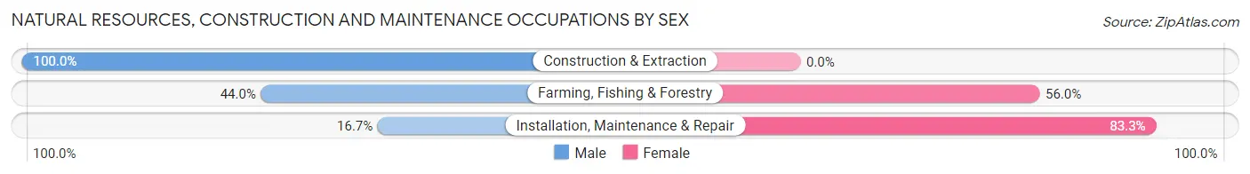 Natural Resources, Construction and Maintenance Occupations by Sex in Ryegate