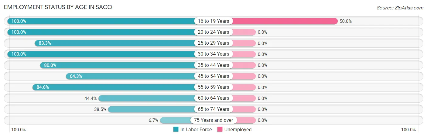 Employment Status by Age in Saco