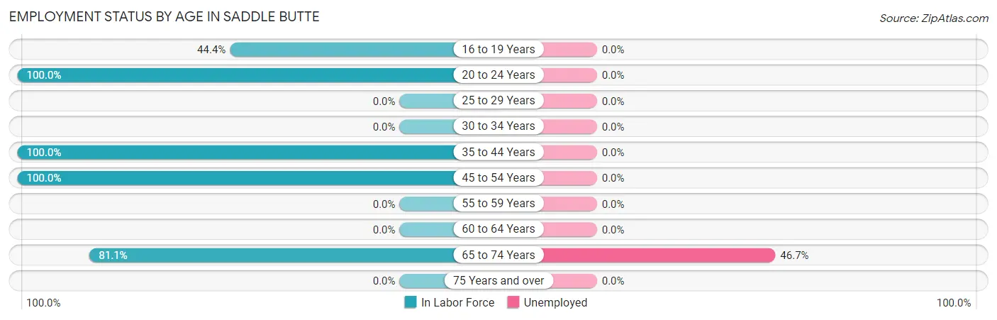 Employment Status by Age in Saddle Butte