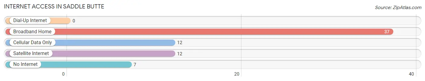 Internet Access in Saddle Butte