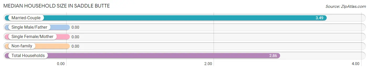 Median Household Size in Saddle Butte