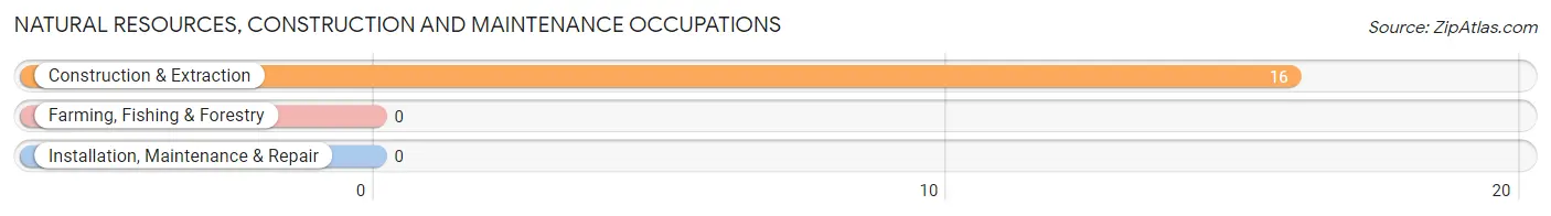 Natural Resources, Construction and Maintenance Occupations in Saddle Butte