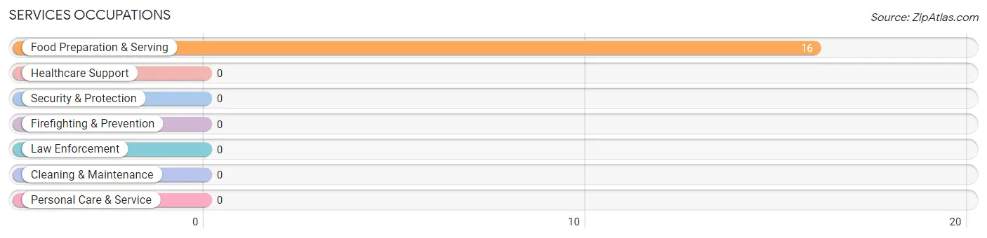 Services Occupations in Sage Creek Colony