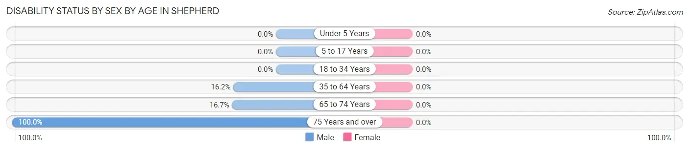 Disability Status by Sex by Age in Shepherd