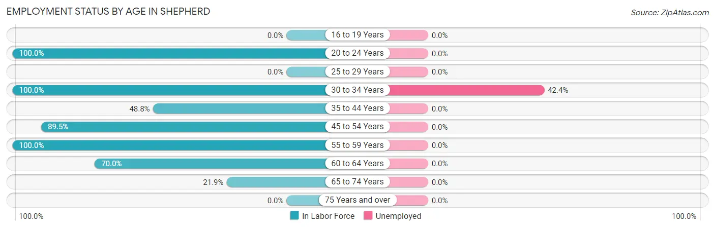 Employment Status by Age in Shepherd