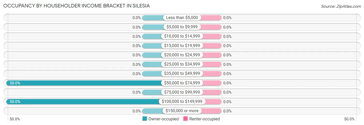 Occupancy by Householder Income Bracket in Silesia