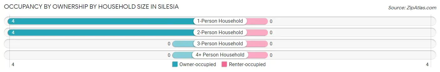 Occupancy by Ownership by Household Size in Silesia