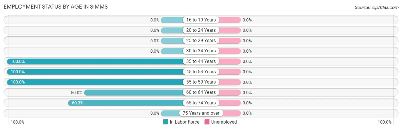 Employment Status by Age in Simms