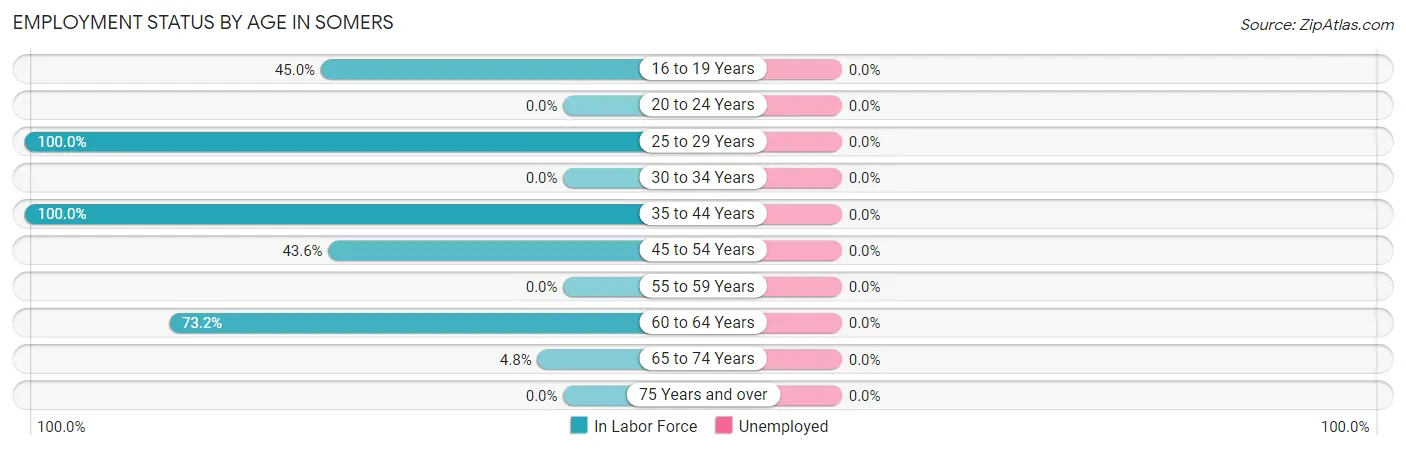 Employment Status by Age in Somers