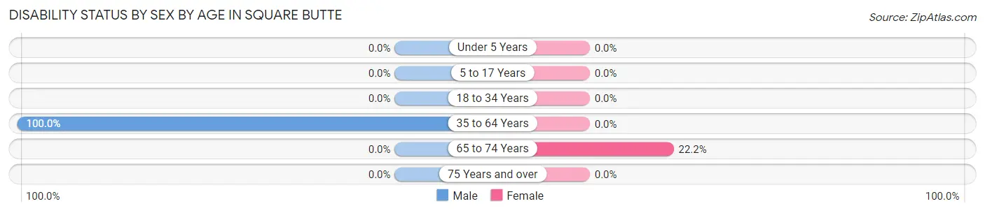 Disability Status by Sex by Age in Square Butte