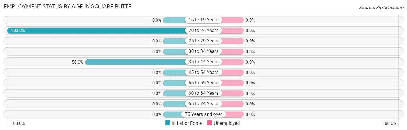 Employment Status by Age in Square Butte