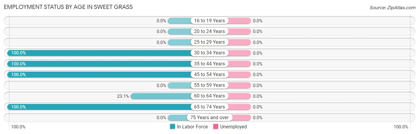 Employment Status by Age in Sweet Grass