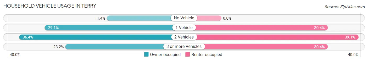 Household Vehicle Usage in Terry
