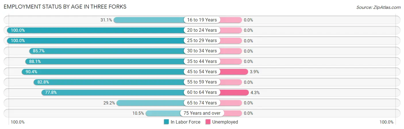 Employment Status by Age in Three Forks