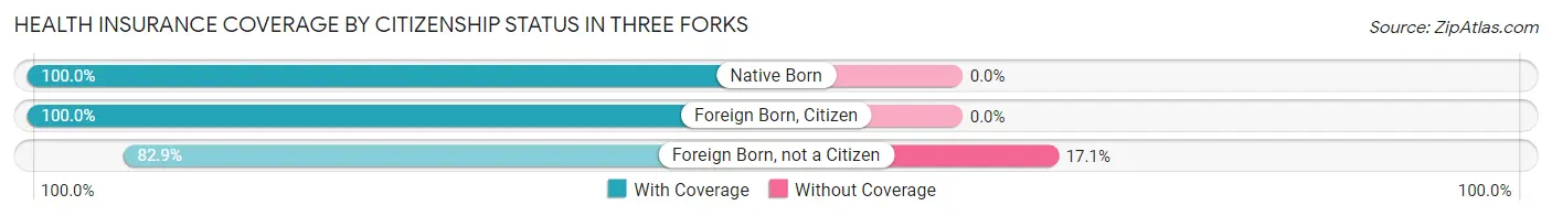 Health Insurance Coverage by Citizenship Status in Three Forks