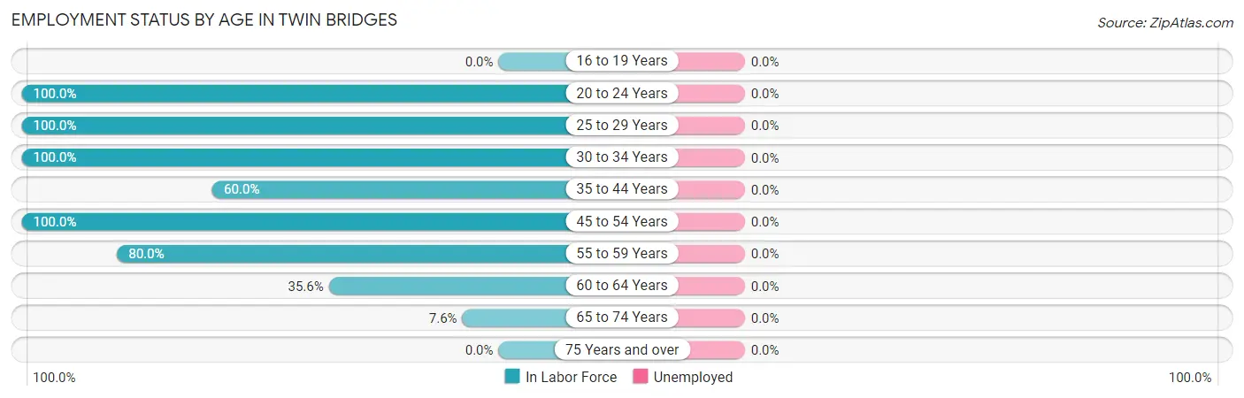 Employment Status by Age in Twin Bridges