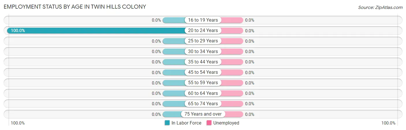 Employment Status by Age in Twin Hills Colony