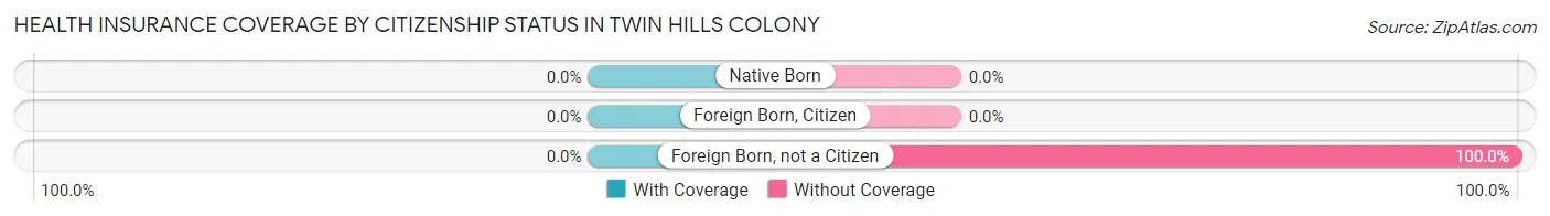 Health Insurance Coverage by Citizenship Status in Twin Hills Colony