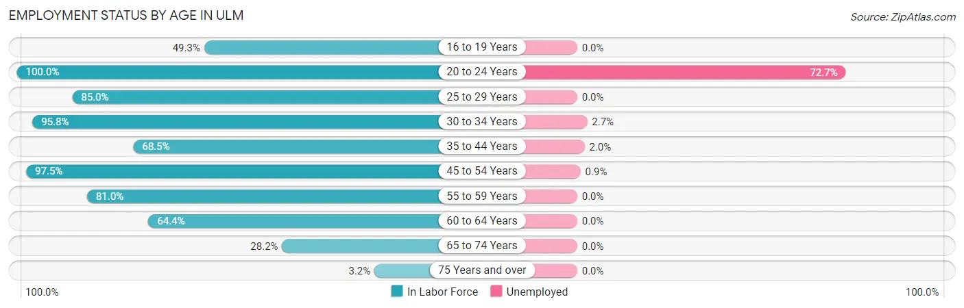 Employment Status by Age in Ulm