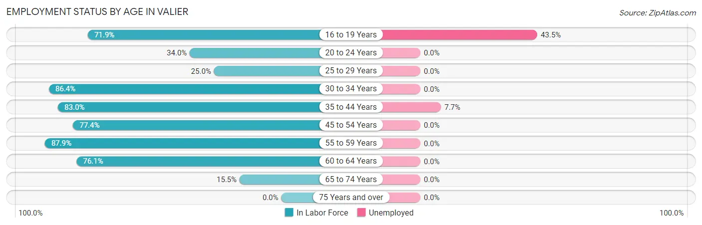 Employment Status by Age in Valier