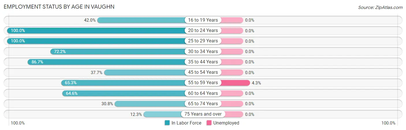 Employment Status by Age in Vaughn