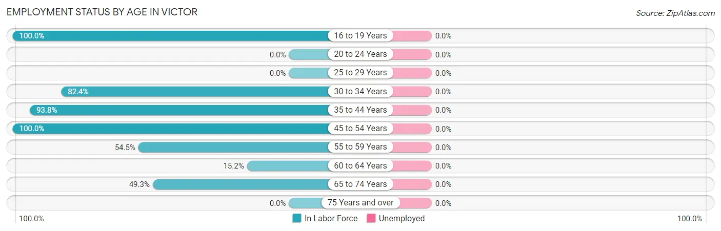 Employment Status by Age in Victor