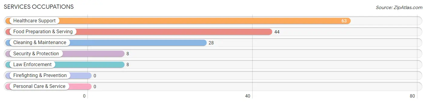 Services Occupations in Victor