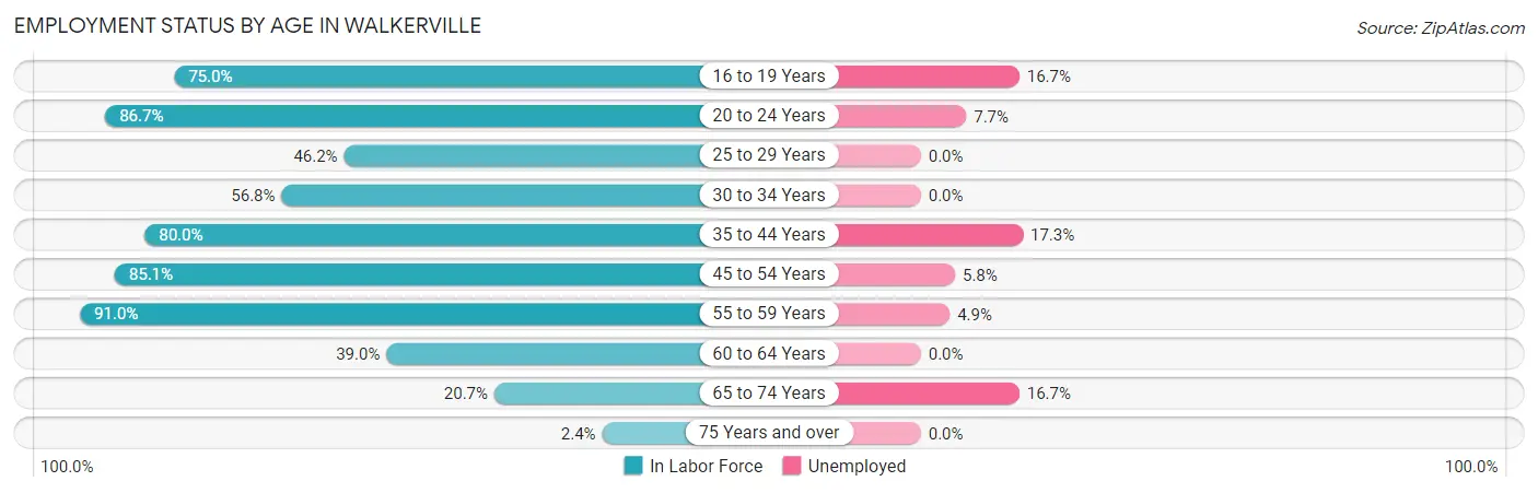 Employment Status by Age in Walkerville