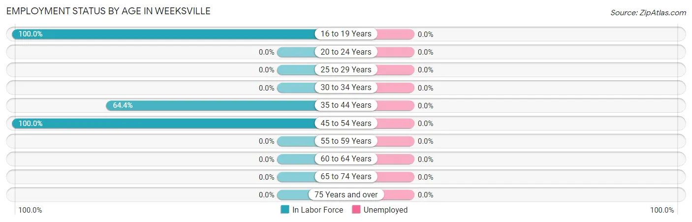 Employment Status by Age in Weeksville