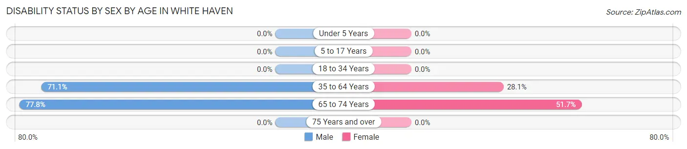 Disability Status by Sex by Age in White Haven