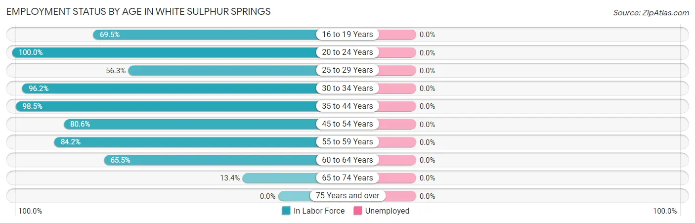 Employment Status by Age in White Sulphur Springs