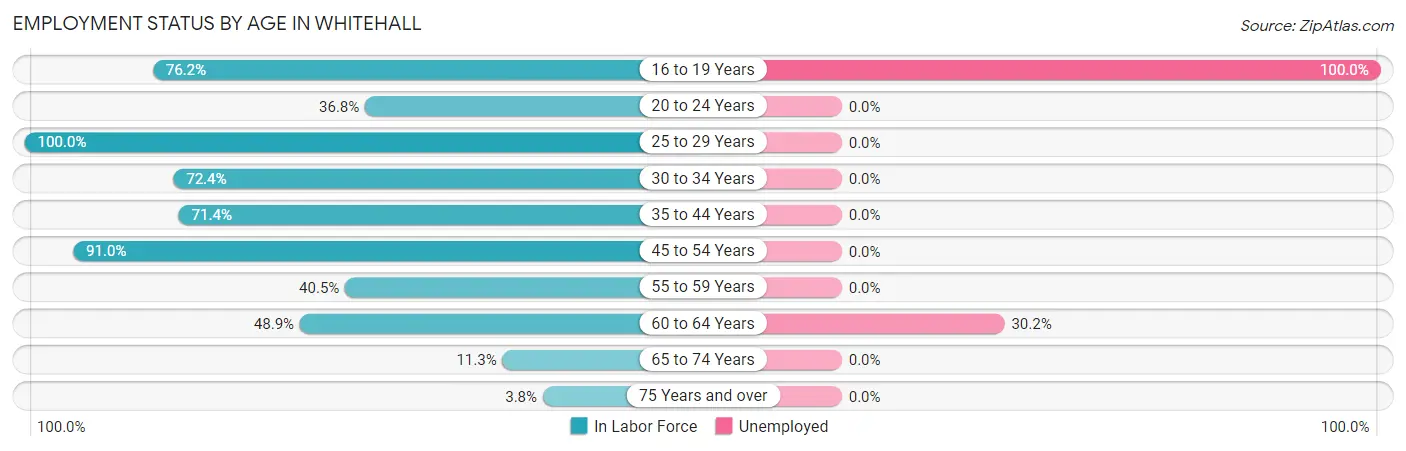 Employment Status by Age in Whitehall