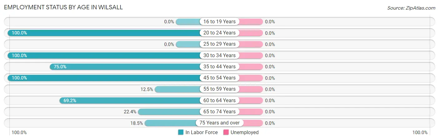 Employment Status by Age in Wilsall