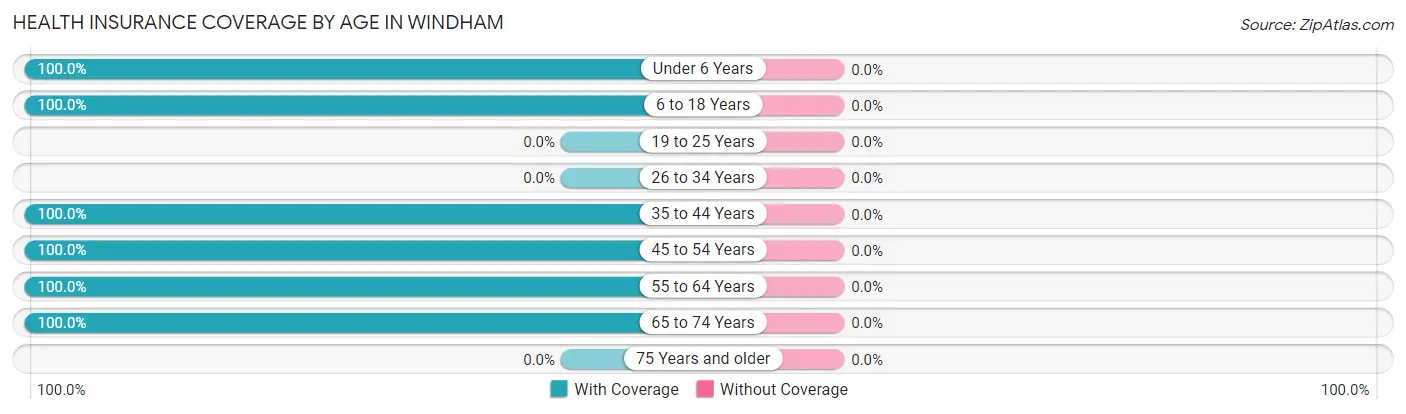 Health Insurance Coverage by Age in Windham