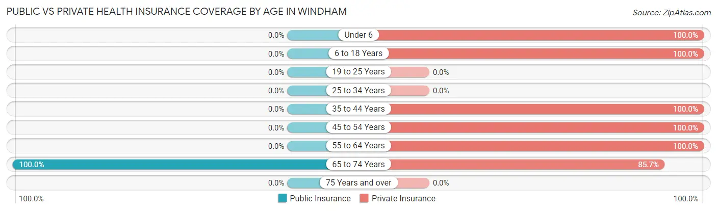 Public vs Private Health Insurance Coverage by Age in Windham