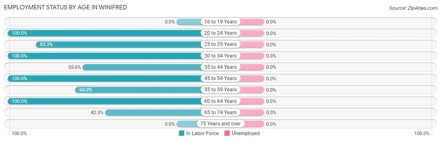 Employment Status by Age in Winifred