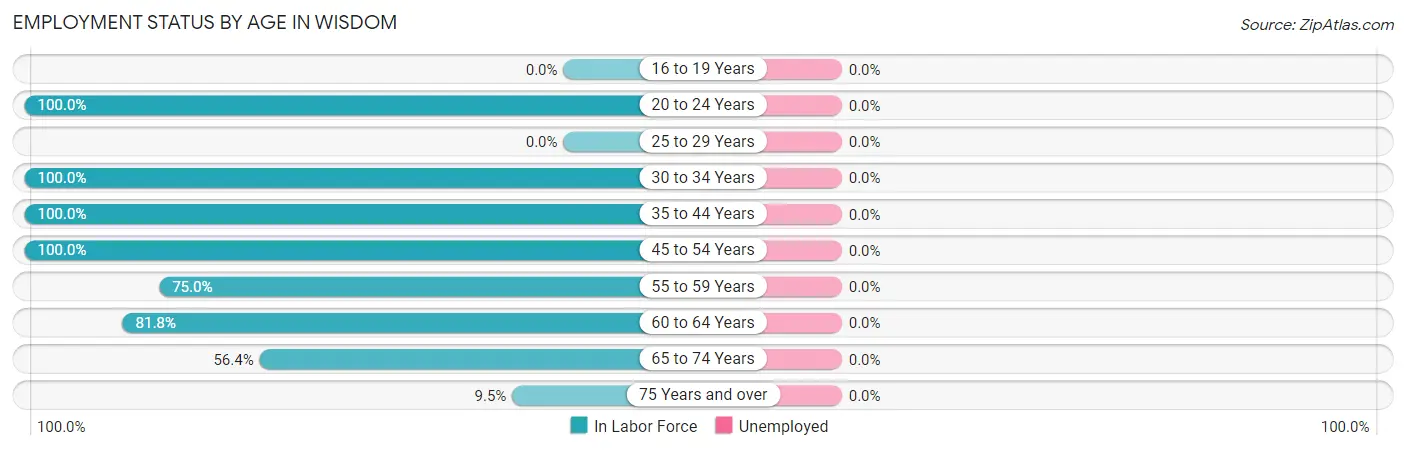 Employment Status by Age in Wisdom